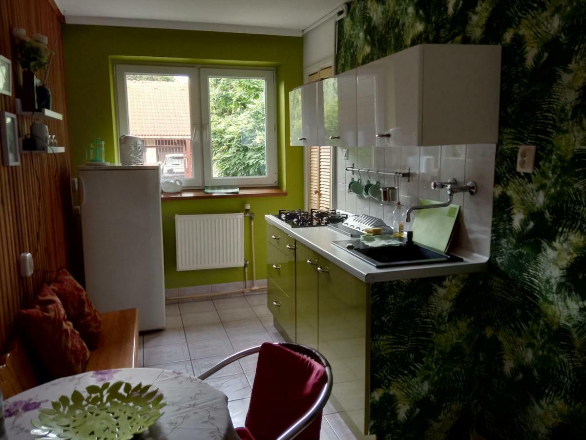 מישלניצה Uroczy Domek Z Ogrodem I Tarasem מראה חיצוני תמונה